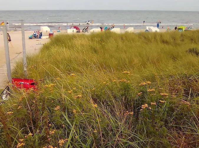 Langfeld Apartamento