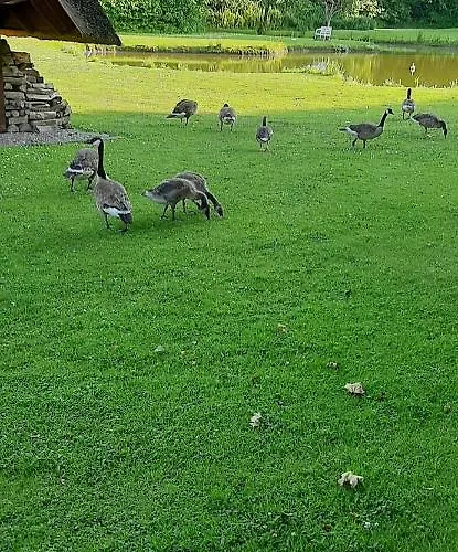 Apartamento Langfeld Kronsgaard